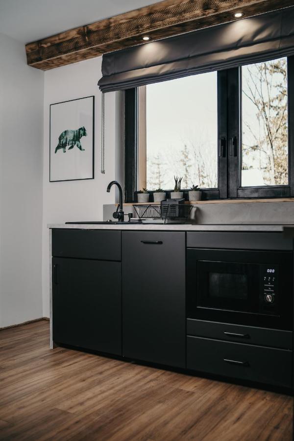 Apartamento Tatra Loft Zakopane Exterior foto